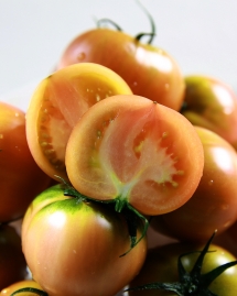[가정용 과일] 부산 대저 짭짤이 토마토 500g